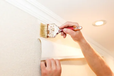 Pose de papier peint à Dollon — revêtements muraux et toiles de verre